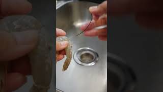 🦐 how to devein shrimp fast with shell on using toothpick [upl. by Nomaj]