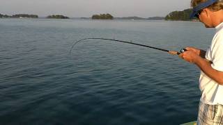 Fishing Spotted Bass On Lake Lanier w Pro Ray Scheide [upl. by Lamrej119]