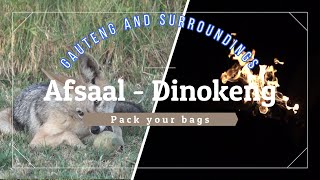 Camping in Gauteng Afsaal campsite in Dinokeng [upl. by Tdnarb]