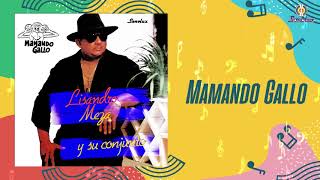 Mamando Gallo  Lisandro Meza  Audio Oficial [upl. by Arised]