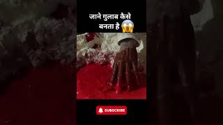 गुलाल कैसे बनता है 😱  shortsvideo holicolours [upl. by Notsahc]