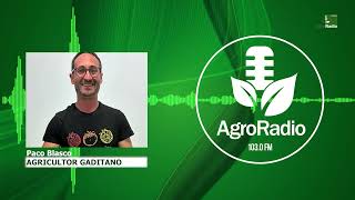 Entrevista  Paco Blasco agricultor gaditano [upl. by Huggins]