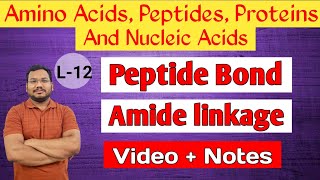 Peptide bond formation  Amide linkage  BSc  MSc  Chemistry  by pankaj sir [upl. by Ennire417]