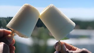 Milk powder coconut icecream recipeTasty milk powder coconut PopsiclesAbele wallsfixngobbleTv [upl. by Willow617]