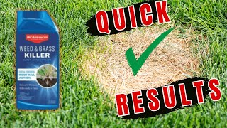 Bioadvanced Weed and Grass Killer Review  Best amp Cheapest on the Market [upl. by Vena]