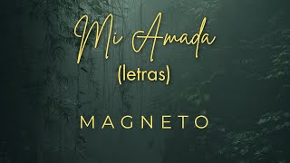 Mi amada letra  Magneto [upl. by Wanfried]