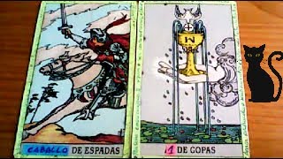 Combinaciones tarot con el CABALLO de ESPADAS  ARCANOS MENORES DE COPAS Por TARA [upl. by Aerbua285]