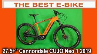 Cannondale Electric bike Cujo NEO 130 1  2019 [upl. by Ressler793]