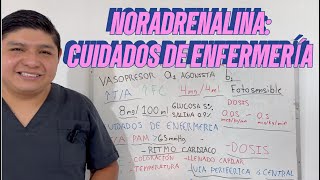 Norepinefrina  Noradrenalina y sus Cuidados de Enfermería [upl. by Harman256]