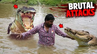 The Most BRUTAL Crocodile Attacks MARATHON [upl. by Bertie968]