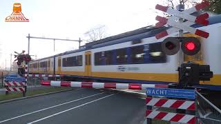 DUTCH RAILROAD CROSSING  Driebergen Rijnsburg  Arnhemse Bovenweg [upl. by Bonney620]