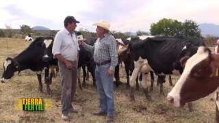 TIERRA FÉRTIL TVUNIDAD DE PRODUCCIÓN RANCHO SAN ISIDROJUANACATLÁN JALISCO 210117 [upl. by Nedap733]