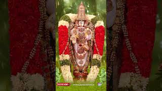 Govinda Rupuda Venkata Ramanuda Lord Venkteswra Swami  Telugu Devotional Songs  Jayasindoor [upl. by Rizzi]