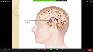 05 stress et maladie psychosomatique psychologie [upl. by Nader]