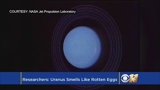 Uranus Smells Like Rotten Eggs Scientists Confirm [upl. by Ynahpit]