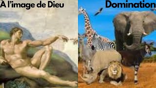 A limage de Dieu  Domination [upl. by Falo]