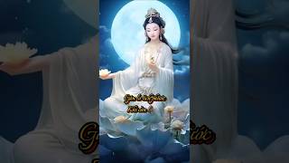 NAM MÔ ĐẠI Bi QUAN THẾ ÂM BỒ TÁT 🙏🙏🙏 phatphapnhiemmau nammoadidaphat loiphatday niemphat [upl. by Annekahs]