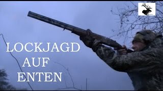 Lockjagd auf Enten  German Waterfowl Hunting [upl. by Anavoj749]