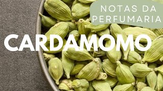 Perfumes com Cardamomo [upl. by Nolitta]