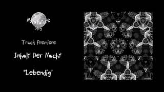 Inhalt Der Nacht  Lebendig SEELEN003  Seelen Records  Premiere [upl. by Ahsenauj]