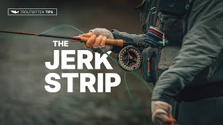 The Jerk Strip  An Essential Streamer Presentation [upl. by Rehpatsirhc]