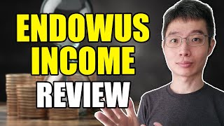 Reviewing Endowus Income Portfolios  Watch This Before Using [upl. by Cleodell]