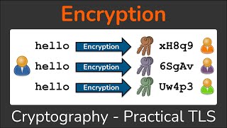 Encryption  Symmetric Encryption vs Asymmetric Encryption  Cryptography  Practical TLS [upl. by Ahen]