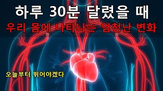 달리기 효과 5가지 [upl. by Jarvis]