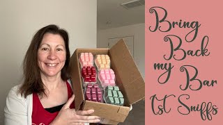 Scentsy Bring Back My Bar First Sniffs amp Impressions  January 2024 BBMB Wax Bars  Home Fragrance [upl. by Ahtenek]