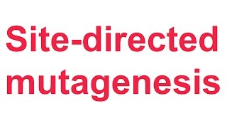 Tutorial 4 QuikChange sitedirected mutagenesis Stratagene [upl. by Cantone160]