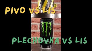 PLECHOVKA VS LIS a další různé věci [upl. by Pronty]