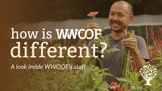 How is WWOOF different A look inside WWOOFs staff [upl. by Brice64]