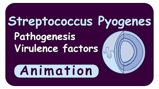 streptococcus pyogenes  Virulence factors  M protein  Streptolysin  Streptokinase  Toxins [upl. by Llenrag181]