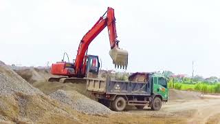 KOBELCO excavators scoop soil for road construction dump trucks work [upl. by Lalaj68]