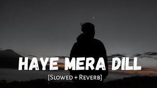 Mera dil lofi song trending music song lofi [upl. by Saraiya430]