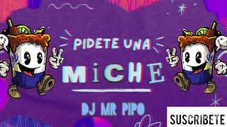 🔥PIDETE UNA MICHE🔥 X ESE PEREZ X DJ MR PIPO🔥 [upl. by Zoi1]