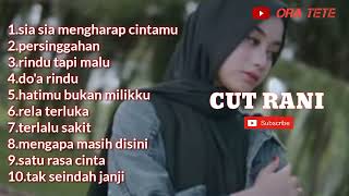 Kumpulan lagu hits CUT RANI [upl. by Hare596]