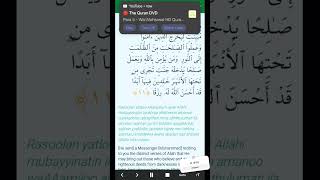 Tilawat E Quran trending tilawatequran quranrecitationviralreelsshortsforyou [upl. by Atilahs]