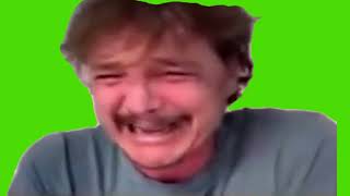 Pedro Pascal Laughing Then Crying Meme Green Screen [upl. by Alden]