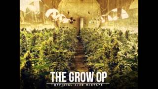 Mac Miller  The Grow Up  The Grow Op   Prod Big Jerm [upl. by Ednalrim]