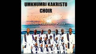 Track 5 Sobonana Kwelizayo  NKOSI NGIBHEKA KUWE Album 2021 [upl. by Kincaid]