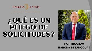 ¿QUÉ ES UN PLIEGO DE SOLICITUDES [upl. by Skolnik]