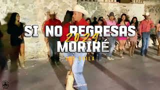 Si No Regresas Moriré Huapango  Los Ávila 2024  Dj RomanMIX [upl. by Lednem]