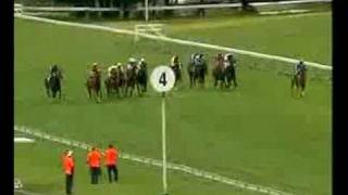 Fastnet Rock 1st Lightening Stakes Gr1 [upl. by Nawj885]