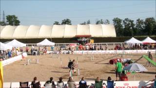 BCC 2013  Individual Final  8° Jeremy Chomienne amp Elium [upl. by Norahs143]