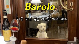 🇮🇹바롤로 현지인 추천 레스토랑 La Cantinetta 추천 와인 Marcarini 피에몬테 barolowine [upl. by Haleelahk]