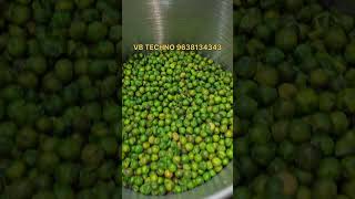 Roasted Green Peas 🫛 Packing Machine [upl. by Ricard]