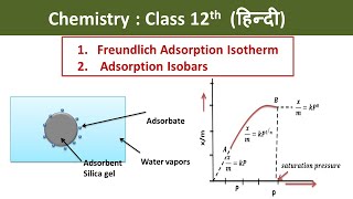 Freundlich Adsorption Isotherm And Adsorption Isobars Hindi  Class 12  Chemistry [upl. by Nnomae]