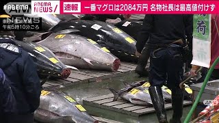 豊洲市場で初競り 大間産本マグロに2084万円2021年1月5日 [upl. by Catie]