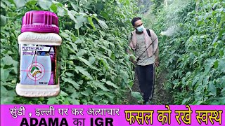 Adama Plethora Insecticide  IGR  Novaluron 525  Indoxacarb 45  Praveen Thakur [upl. by Reteid345]